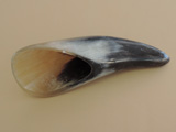 Water Buffalo Horn tip Spoon